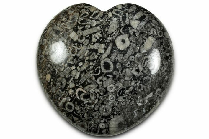 Fossil Crinoid Stems In Marble Heart #328327
